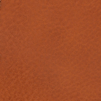 Load image into Gallery viewer, Pixie Go Wallet