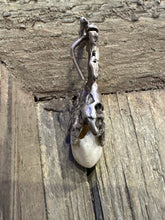 Load image into Gallery viewer, Elk Ivory Tooth Pendant with Sterling Silver