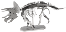 Load image into Gallery viewer, Dinosaur Metal Earth Models
