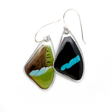 Load image into Gallery viewer, Hewitson's Olivewing Earrings
