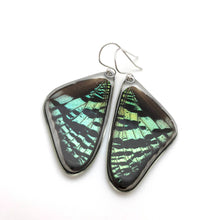 Load image into Gallery viewer, Sunset Moth Earrings
