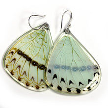 Load image into Gallery viewer, 0530 Butterfly Earrings, Mint Morpho Butterfly, bottom
