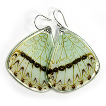 Load image into Gallery viewer, 0530 Butterfly Earrings, Mint Morpho Butterfly, bottom
