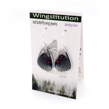 Load image into Gallery viewer, Pink Dotted Metalmark, Bottom Wings
