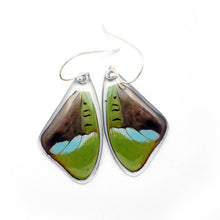 Load image into Gallery viewer, Hewitson's Olivewing Earrings
