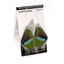 Load image into Gallery viewer, Hewitson's Olivewing Earrings
